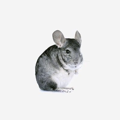 V Hostivicích rekordně…