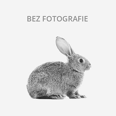 Prodám zakrslé králíčky.