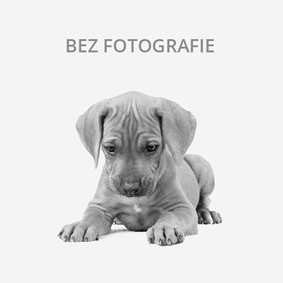 Chceme koupit štěňátko