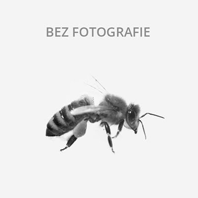 Prodam  kvetovy med -2x sud (200l)