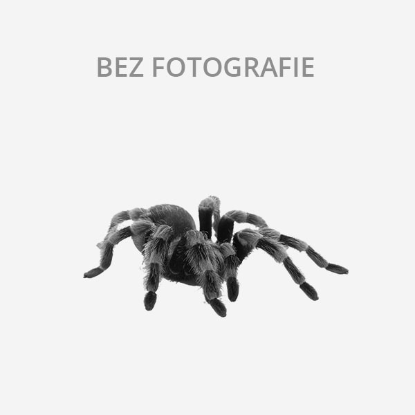 Sháním (Pečky, okr. Kolín)