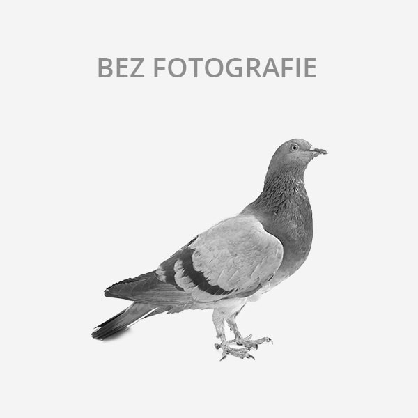 Sháním (Zlaté Hory, okr. Jeseník)