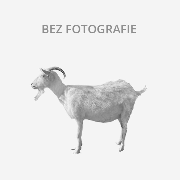 Prodám Suffolka (SF) (Střevač, okr. Jičín)