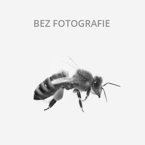 Prodám (Brnířov, okr. Domažlice)